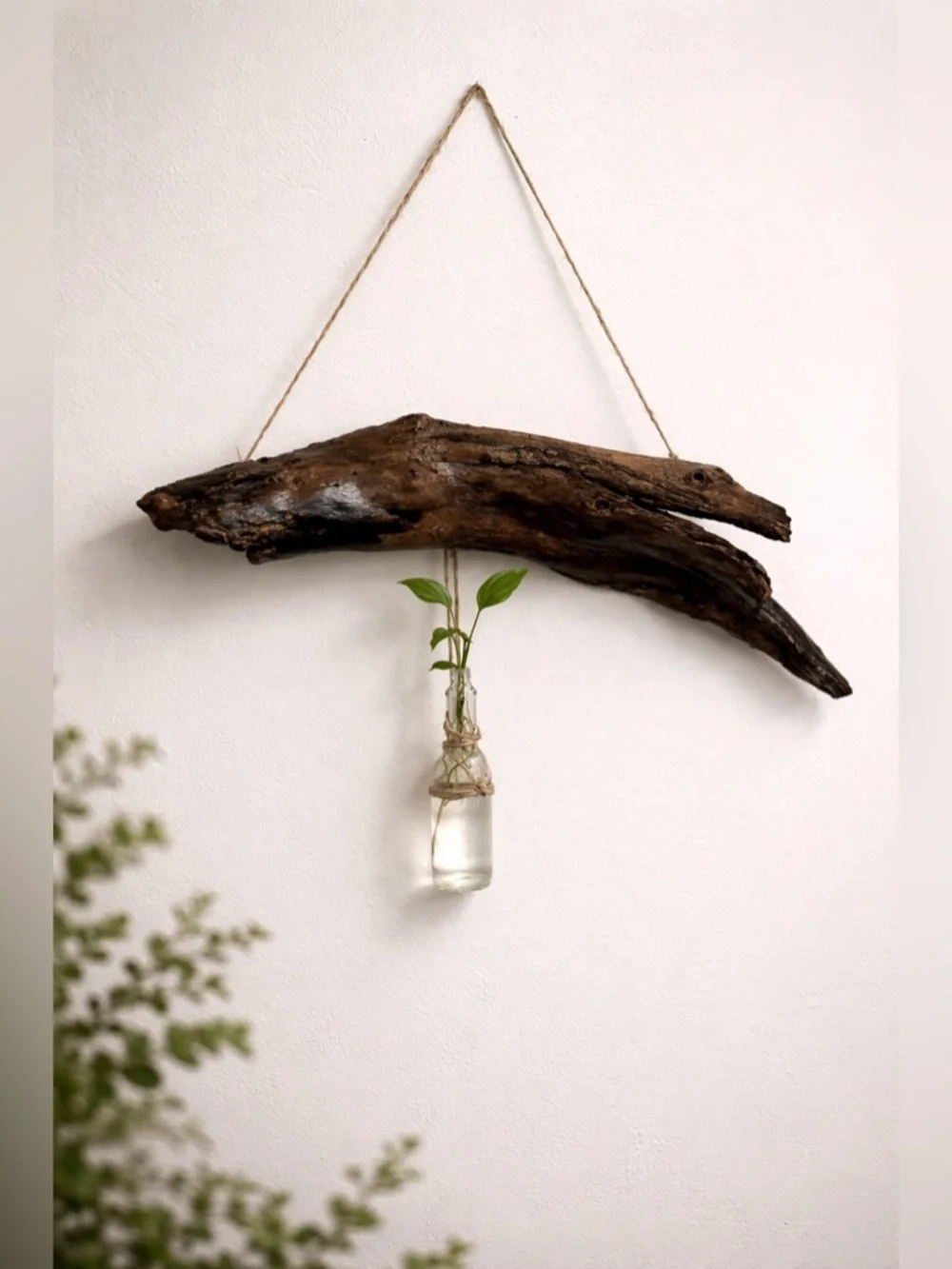 Handcrafted Driftwood Wall Hanging with Glass Bud Vase - Brown